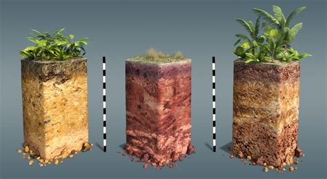 Types Of Soil Soil Profiles 3d Scene Mozaik Digital Education And