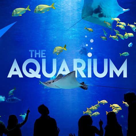 The Aquarium On Animal Planet Georgia Aquarium