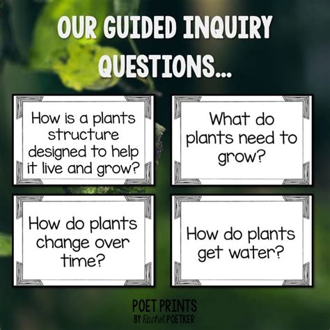 Inquiry Based Science Plants — Poet Prints Teaching Third Grade
