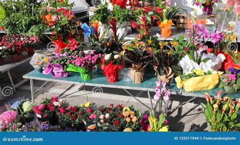 Flower Market Outdoor Stock Photo Image Of Business 155517944