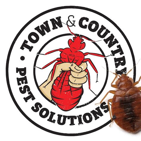 Town And Country Pest Solutions Inc Rochester Pest Control Youtube