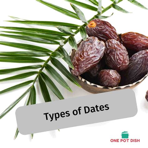 Types Of Dates Know What Dates Are Best