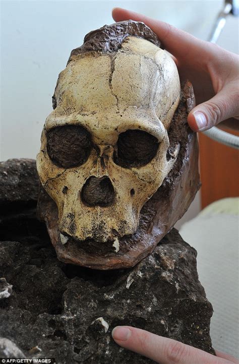 Rock Containing Most Complete Early Human Skull Ever