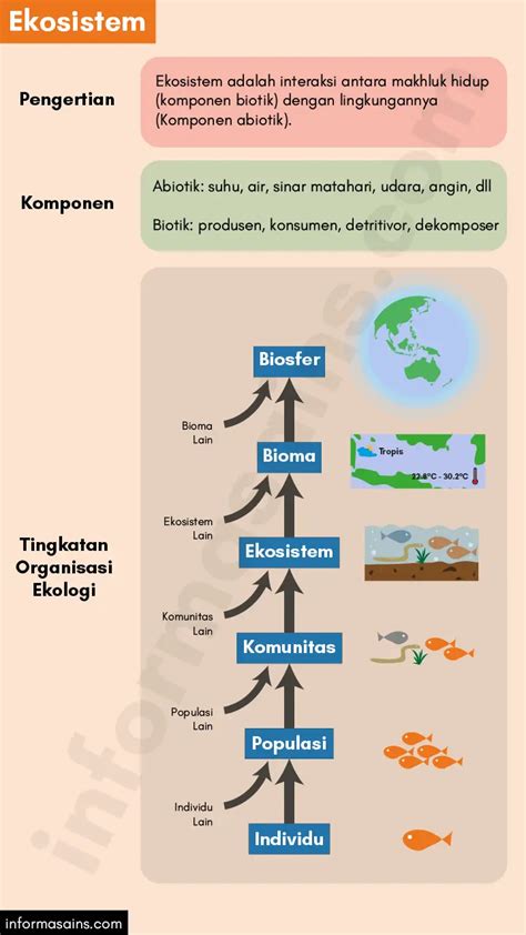Ekosistem Pengertian Komponen Dan Interaksi Dalam Ekosistem Riset