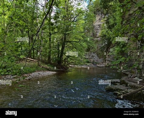 View Of Flowing River In Famous Wutach Gorge Wutachschlucht In The