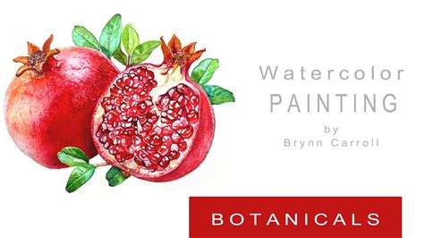 How To Paint Realistic Pomegranates In Watercolor Youtube