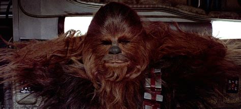 Star Wars Bits The 40th Anniversary Of Star Wars The New Chewbacca