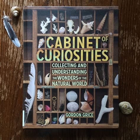 Awakening Wonder With Cabinet of Curiosities | Déco steampunk, Cabinet