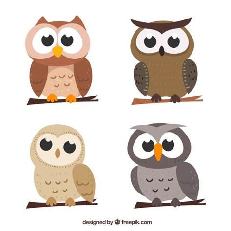 Cartoon Owls Vectors Photos And Psd Files Free Download 