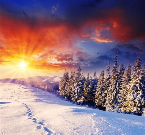 Winter Landscape Highdefinition Picture Photos In  Format Free And