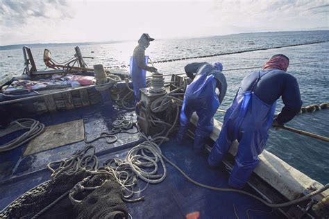 每人3萬元 竹市漁民生活補貼即日起開放申請 中華日報 中華新聞雲