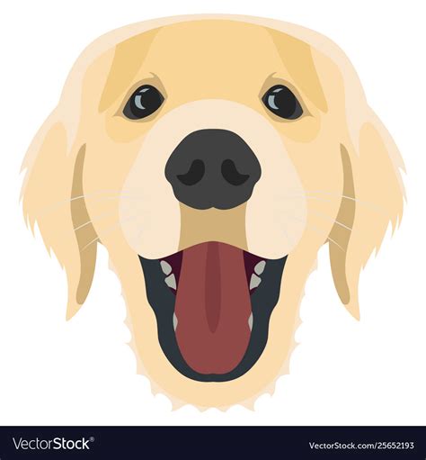 Dog Golden Retriever Royalty Free Vector Image