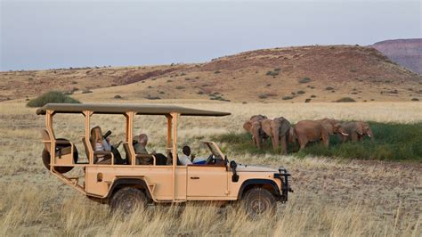 Best Wildlife Safaris And Game Drives In Namibia