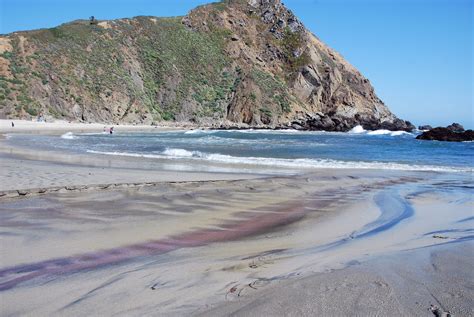 All Things Elise And Alina Purple Sand Of Pfeiffer Beach Big Sur Ca