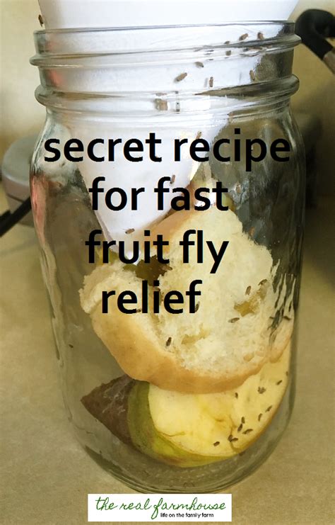We believe in keeping our world green and in doing so we use products that are natural and not poisonous to humans or their animals. How to get rid of fruit flies naturally- the best way ...
