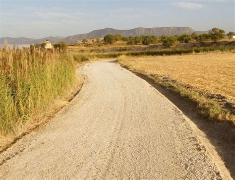 Mejoran Los Caminos Rurales Y Agropecuarios De Huéscar Radio Baza