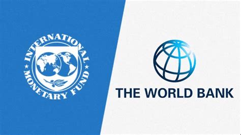 understanding the world bank and imf the africana voice
