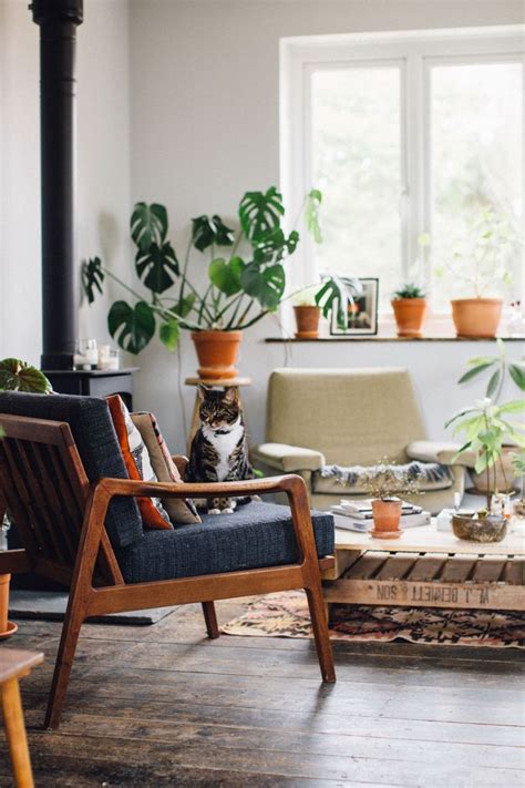 Plant Filled Living Space Living Room Plants Home Decor Furniture