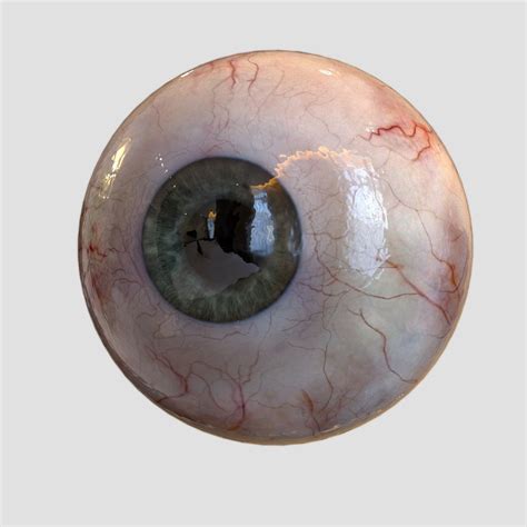 3D Human Eye Realistic | CGTrader