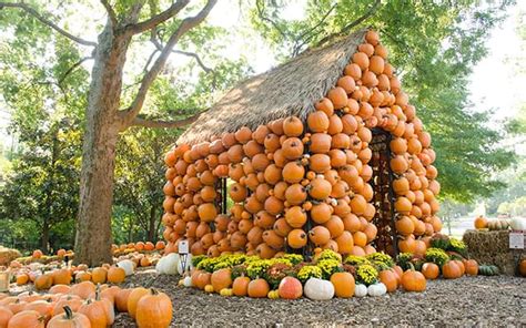 Pumpkin Patches In Nashville Area 103 3 Country