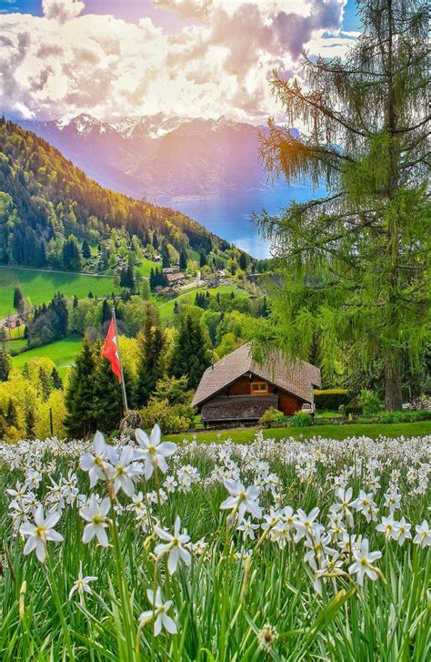 17 Exclusive Beautiful Landscaping Switzerland To Make Your Home Look