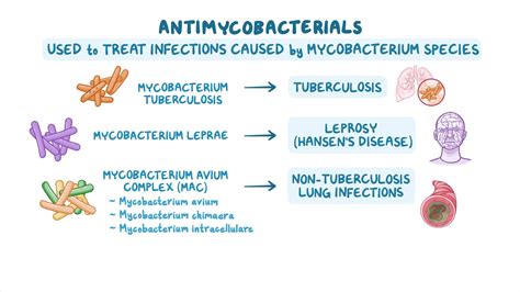 Antibiotics Antimycobacterials Nursing Pharmacology Osmosis Video