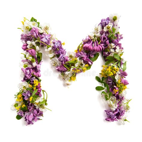 Stai cercando la soluzione alla definizione arbusto dai piccoli fiori bianchi profumatissimi del gioco codycross? La Lettera Â "MÂ„ Ha Fatto Di Vari Piccoli Fiori Naturali ...