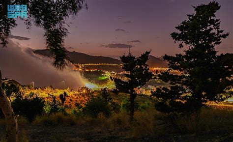 Fog On Sarat Mountains In Al Baha Region Creates Mesmerizing Images