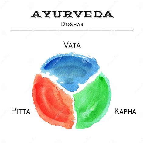 Ayurveda Vector Illustration Ayurveda Doshas In Watercolor Texture