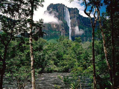 Angel Falls Orinoco Basin Canaima National Park Venezuela