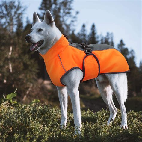 Dog Coats For Large Dogs Winter Waterproof Pitbull Clothes Warm Big