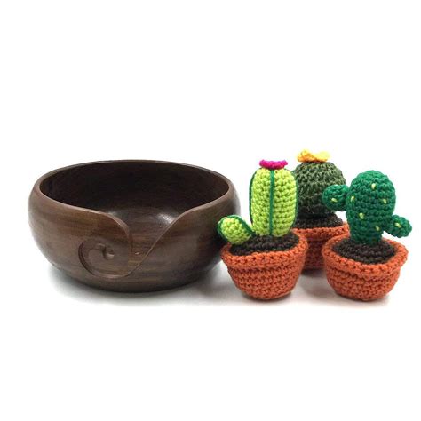 Is that cactus a bastion of potable water, or will you regret your efforts to get past its perilous spines? DIY Cactus Amigurumi Knit & Crochet Kit | Double pointed ...
