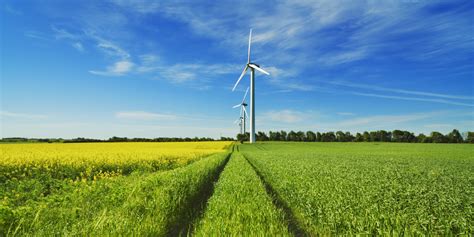 Is Green Investing Dead? | HuffPost