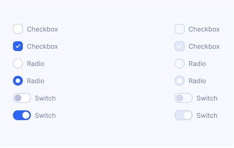 The Complete Beginners Guide On Radio Button Design