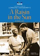 A Raisin In The Sun Lorraine Hansberry