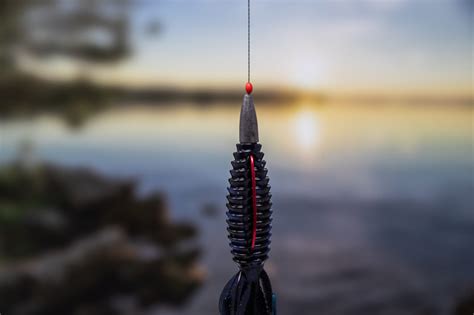 The Ultimate Guide To Punching Rig For Bass Fishing FishRook