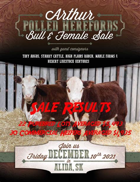 Arthur Polled Herefords Bull And Female Sale Sale Results By Bohrson