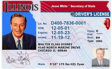 Illinois Drivers License Editable Psd Template Download 2 500