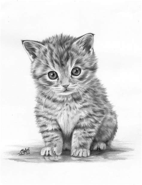 Dibujos A Lápiz De Gatos Tiernos Imagui Dibujos De Colorear