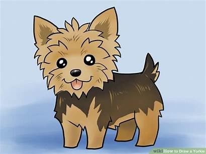 Yorkie Draw Drawings Puppy Cartoon Pencil Dog