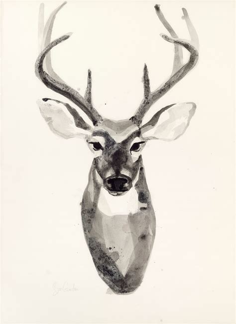 Deer Head Watercolor At Explore Collection Of Deer