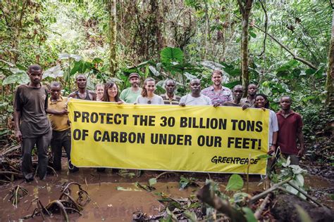 Greenpeace Africa On Congo Brazzaville Cafi Agreement Peatlands Must