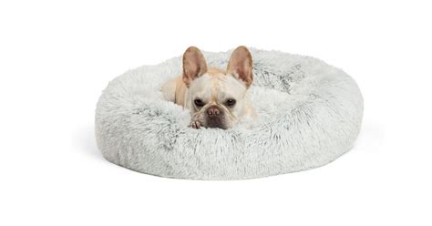 12 Best Dog Beds Reviews For Comfortable Support 2021
