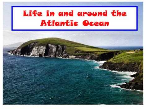 Life In And Around The Atlantic Ocean Teaching Resources