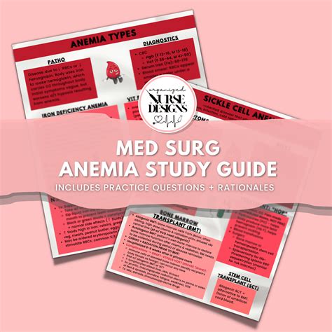 Buy Anemia Nursing School Study Guide With Nclex Practice Questions