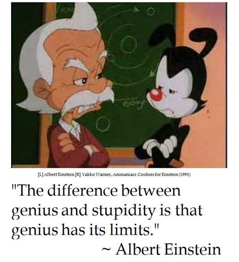 Stupidity, fear and greed. there is no vaccine against stupidity. Albert Einstein on Stupidity | Animaniacs