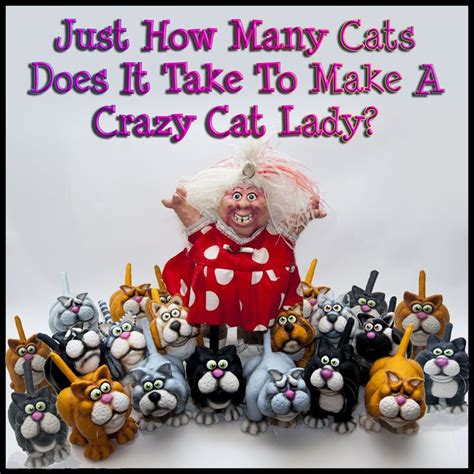 345 Best Images About Crazy Cat Ladies On Pinterest I Love Cats Lady
