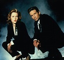 The X-Files - The X-Files Photo (19911374) - Fanpop