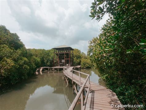 Wisata Trekking Hutan Mangrove Di Bali Dekat Kuta Denpasar