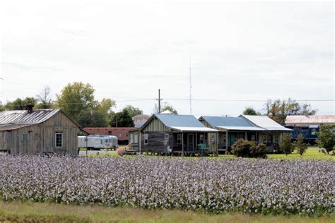 4 Reasons To Visit Clarksdale Ms Mississippi Farm Country
